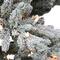 9ft. Pre-Lit Flocked Utah Fir Artificial Christmas Tree, Clear Lights